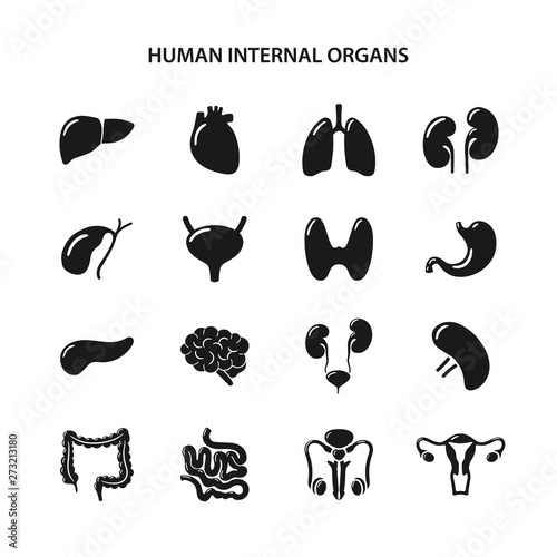 Set of black icons of human internal organs in flat style