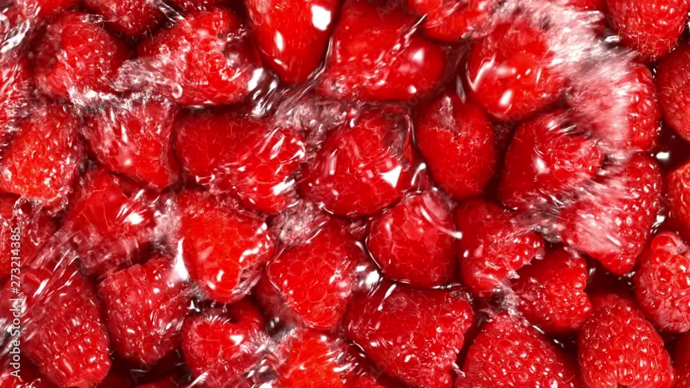 Super Slow Motion Shot of Splashing Water to Fresh Raspberries at 1000fps. Super Slow Motion Shot of Splashing Water to Fresh Raspberries at 1000fps.