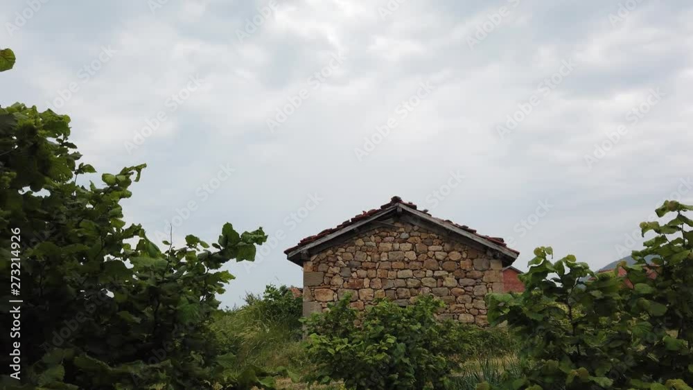 village house on the mountain. hazelnut orchards, black sea village house on the mountain. hazelnut orchards, black sea