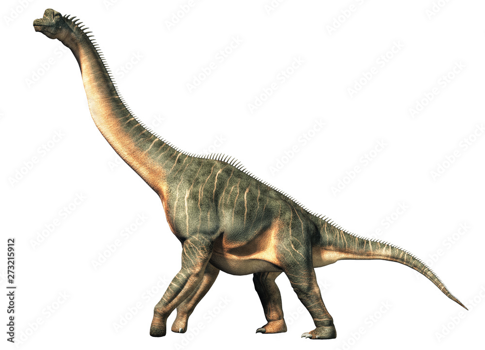 Naklejka Brachiozaur był dinozaurem zauropodów, jednym z największych i najpopularniejszych. Żył w późnym okresie jurajskim. Na białym tle. Renderowanie 3D