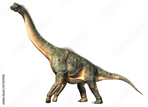 Brachiosaurus was a sauropod dinosaur, one of the largest and most popular. It lived in during the Late Jurassic Period. On a white background. 3D Rendering