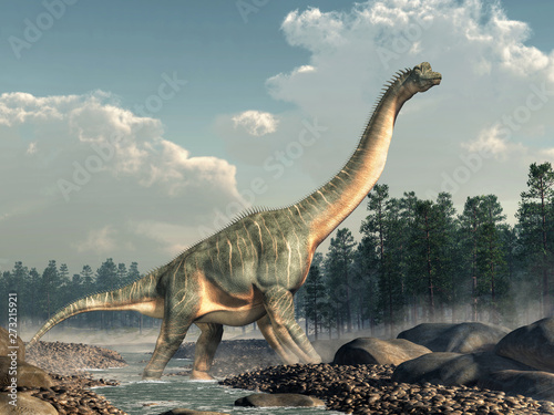 Fototapeta Naklejka Na Ścianę i Meble -  Brachiosaurus was a sauropod dinosaur, one of the largest and most popular. It lived in during the Late Jurassic Period. Standing in a rocky stream. 3D Rendering