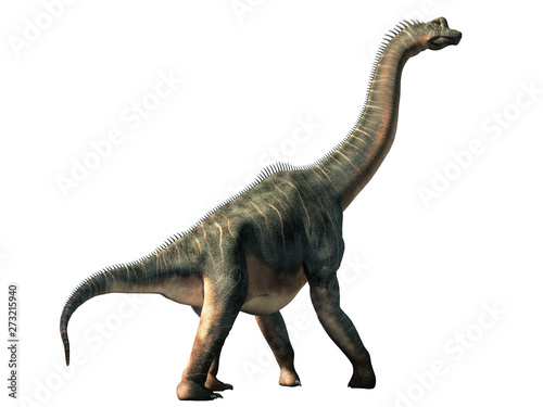 Brachiosaurus was a sauropod dinosaur  one of the largest and most popular. It lived in during the Late Jurassic Period. On a white background. 3D Rendering