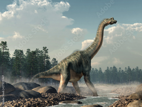 Photo Brachiosaurus was a sauropod dinosaur, one of the largest and most popular