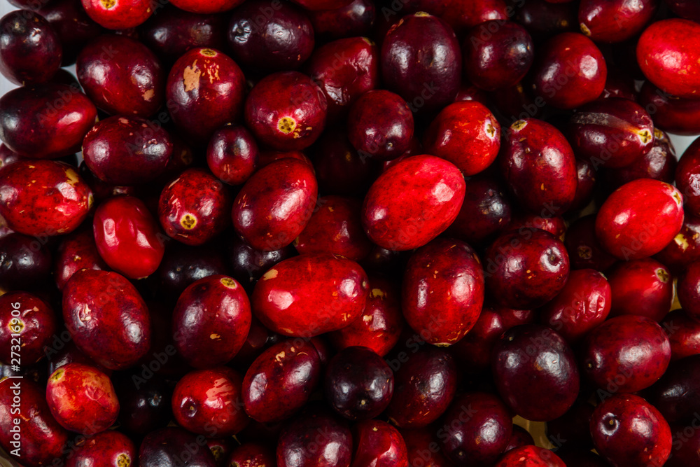 Cranberries in a punnet forming a background