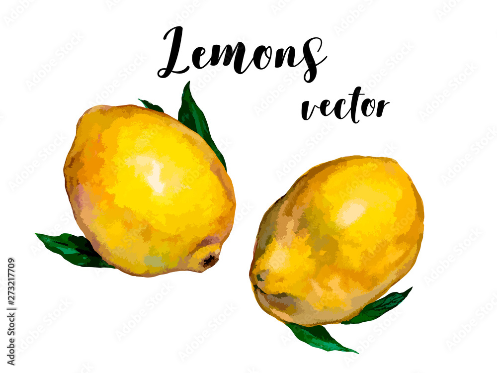 The lemons set for you designe. Vector illustration.