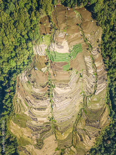 Aerial view of rice terrace on Pulau Lombok island in Indonesia. photo