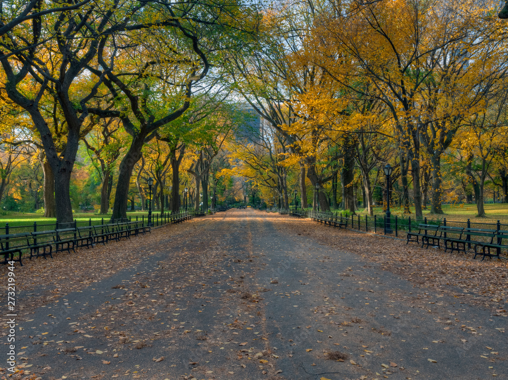 Autumn in Central Park