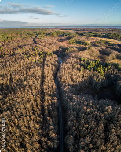 Aerial view of an empty road in the forest of Norrby on Vormsi Island in Estonia. photo