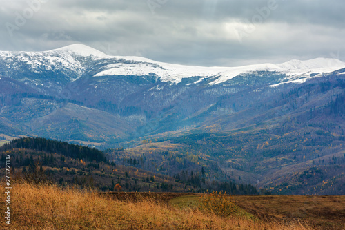 beautiful transcarpathian landscape in november. overcast sky above the meadow with weathered grass in front of a snow capped velykyy verkh mountain of carpathian borzhava ridge in the distance. © Pellinni