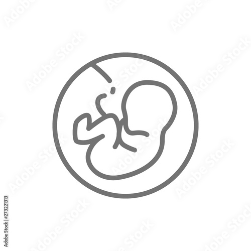 Baby in the womb, embryo, human fetus line icon.