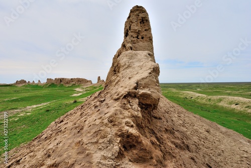 Ruins of an ancient city Sawran or Sauran near Turkistan in Southern Kazakhstan photo