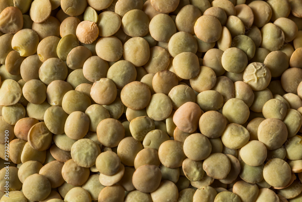 Fototapeta premium Dry Organic Green Lentils