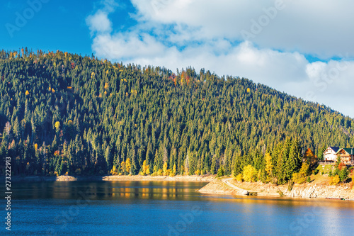 belis fantanele reserve in mountains of romania. beautiful body of water scenery in autumn. spruce forest on the shore in the morning photo