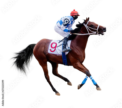 jockey horse racing isolated on white background