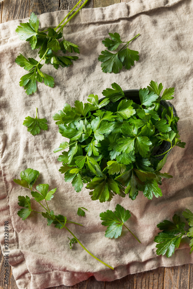 Raw Green Organic Italian Flat Leaf Parsley Raw Green Organic Italian Flat Leaf Parsley