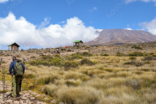 Obraz na plátně A hiker against Mount Kilimanjaro, Tanzania