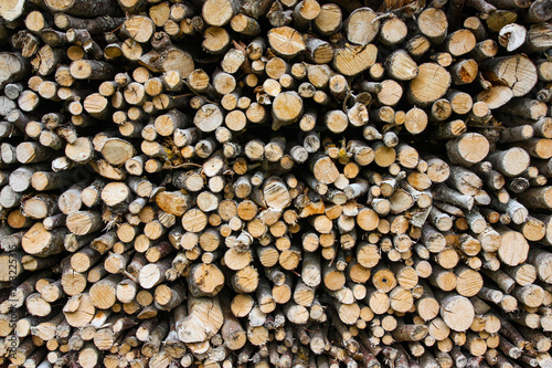 A large wall of small stacked wooden logs in the forest  showing a natural background or texture