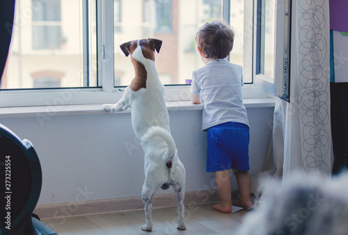 little boy and dog look out the window photo