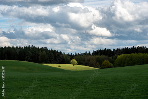 Fototapeta Naklejka Na Ścianę i Meble -  Mazury Garbate 3