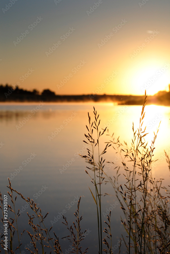 sunset beautiful summer landscape with cloudy sky and natural lake