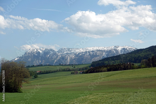 Beautiful rural landscape with blossoming alpine meadows with green grass and high mountains with snow on top at far away under blue sky with clouds on bright sunny day