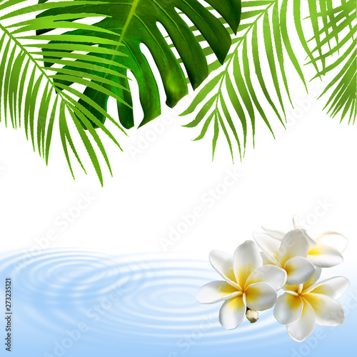 ハワイ アドビストックのデザイン かべいろ Com おしゃれ壁紙リフォーム貼り替え インクジェット壁紙のかべいろ Com