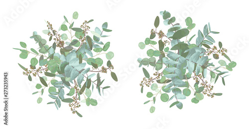 Set of wedding bouquets. Elegant floral, greenery, asymmetric collection. Bouquet of eucalyptus spiral, populus, robusta.All elements are isolated and editable. Flavor pastel