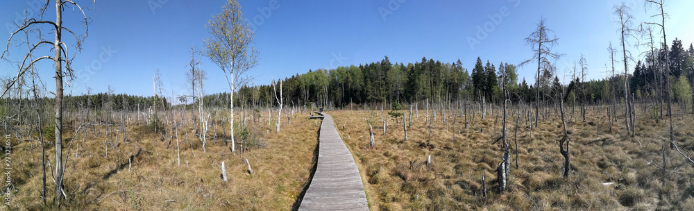Dubrava minor reserve nature during springtime Dubrava minor reserve nature during springtime