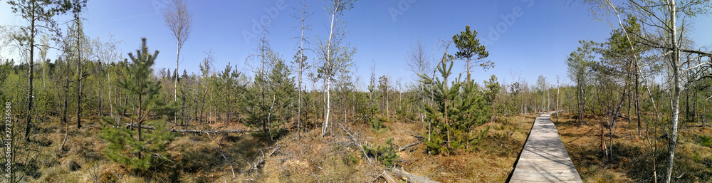 Dubrava minor reserve nature during springtime