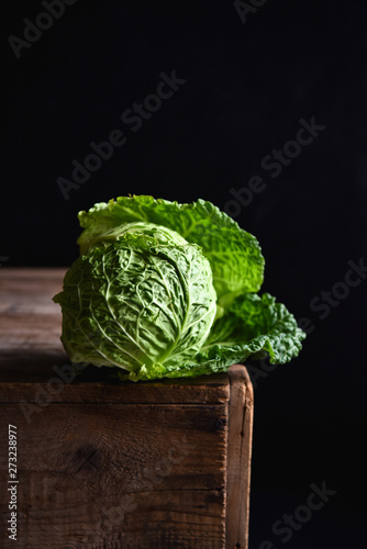 Savoy Cabbage photo