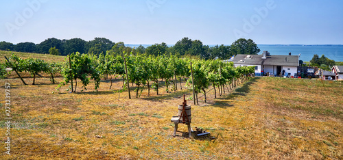 Wine press on a vineyard in Loddin. Usedom Island on the Baltic Sea in the background.