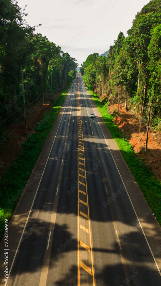 aerial view landscape of Tree or forest and road , Krabi Thailand - Image aerial view landscape of Tree or forest and road , Krabi Thailand - Image