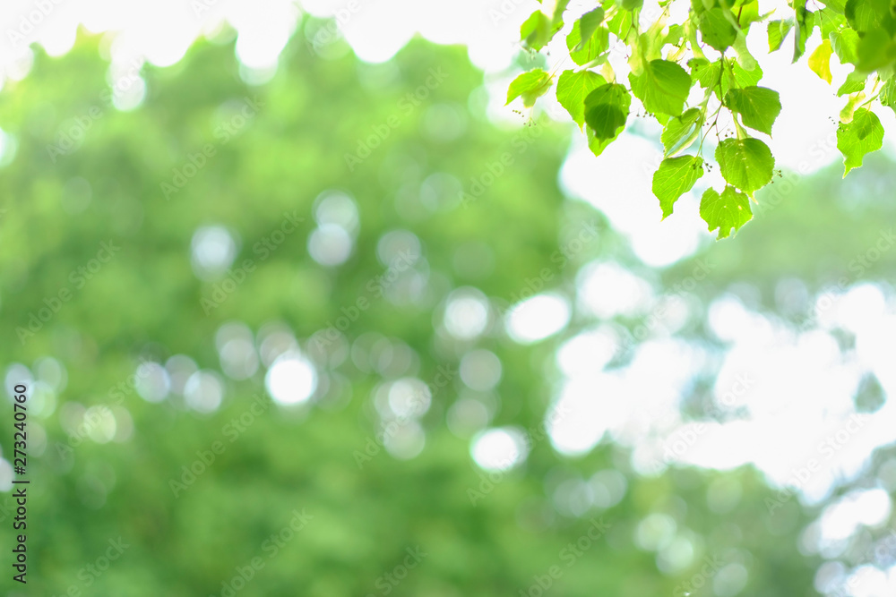 Abstract background with green, yellow and white bokeh. Abstract background with green, yellow and white bokeh.