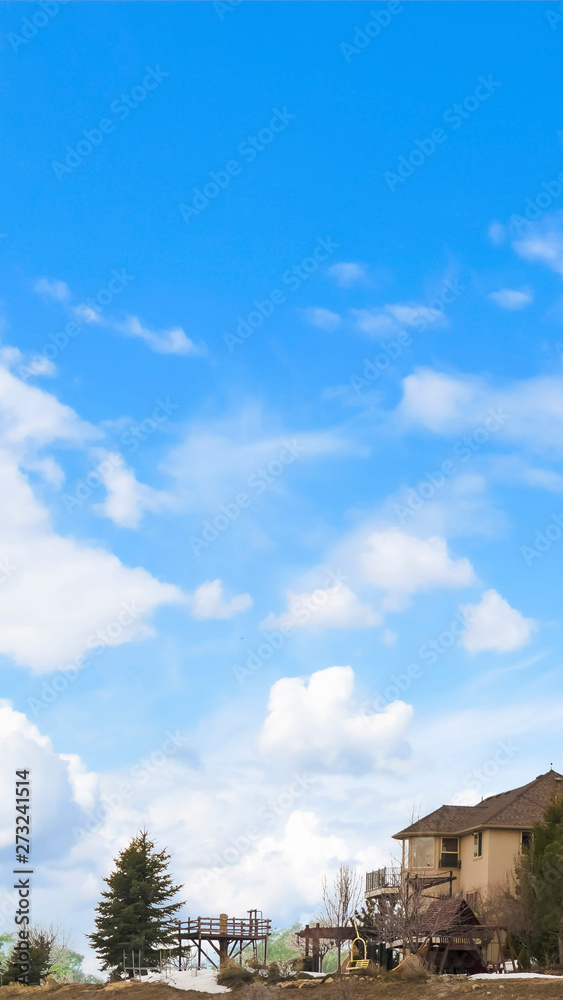 Vertical Homes and coniferous trees under blue sky with puffy clouds in winter