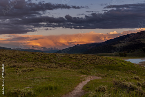 Pink Sunset Over Lamar Valley with Green Field