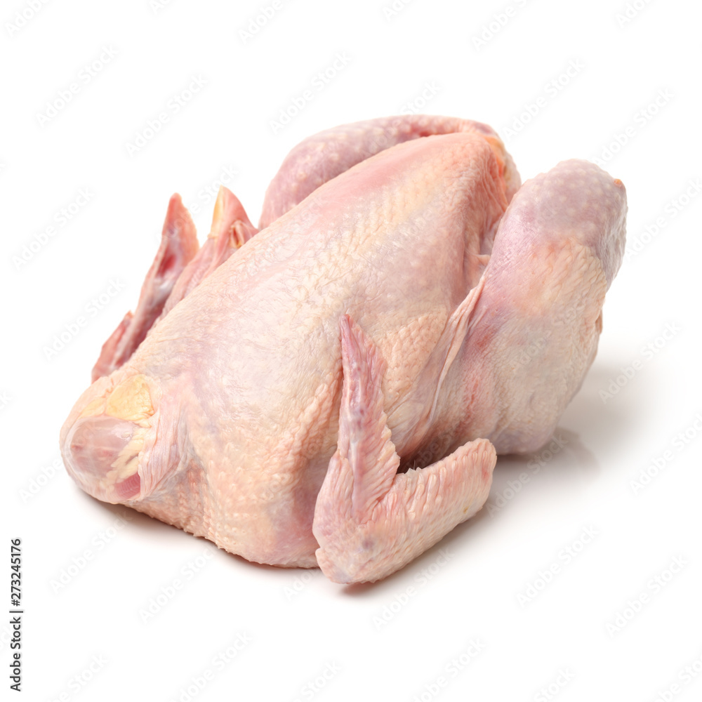 raw hen on a white background raw hen on a white background