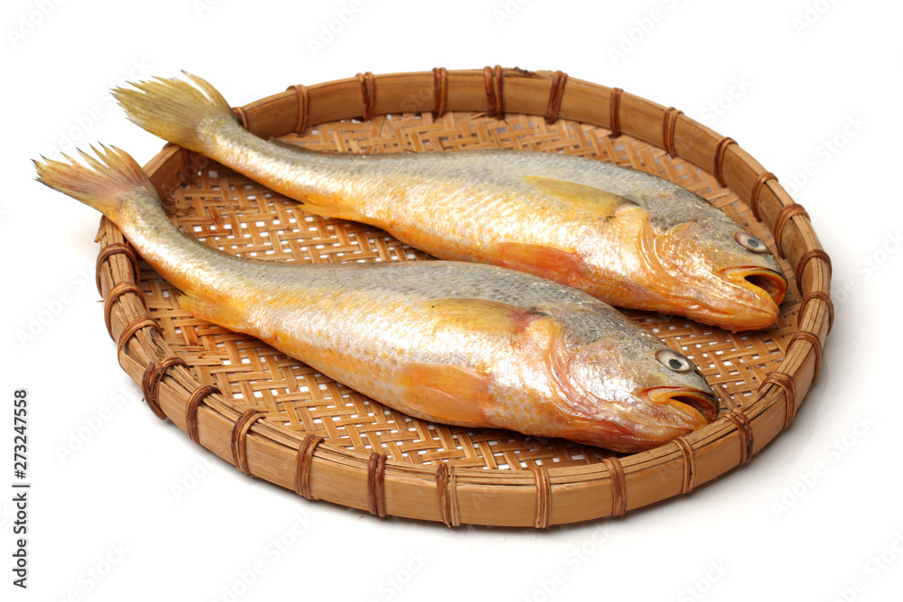 Yellow Croaker Fish On White background Yellow Croaker Fish On White background