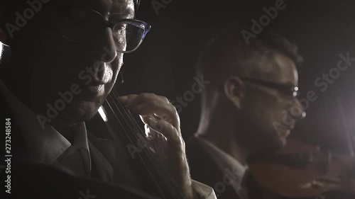 Professional symphonic orchestra performing on stage