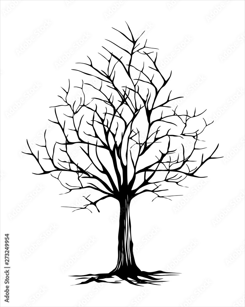 Obraz premium dry tree on artline vecor for background illustration 