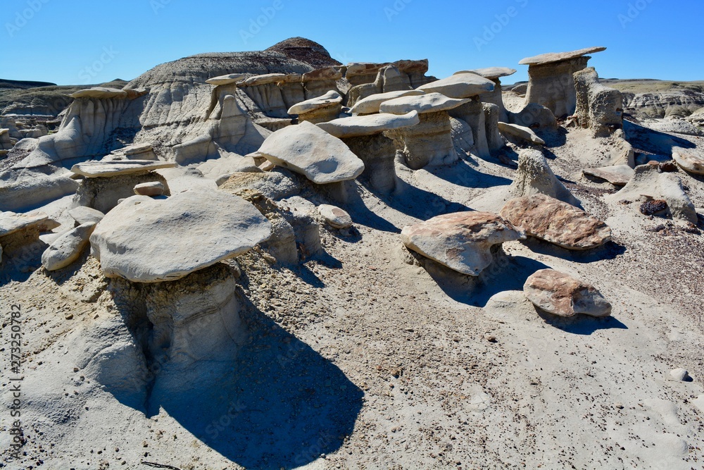 Bisti Badlands New Mexico Hoodoos Desert Formations Bisti Badlands New Mexico Hoodoos Desert Formations