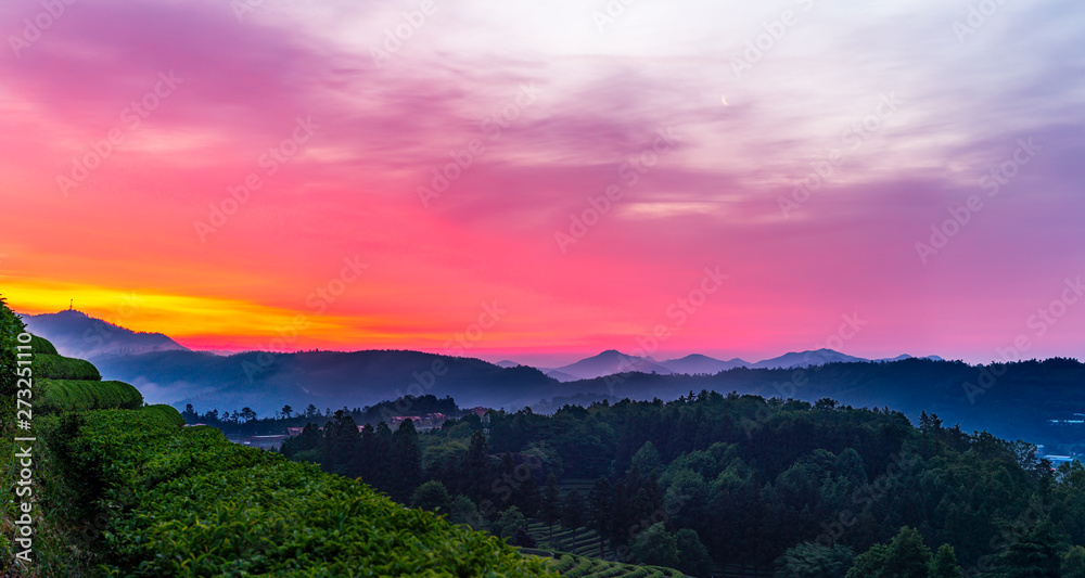 A landscape view of the rise of the sun in the green tea fields of Boseong, south korea