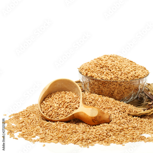 Oat grains on a white background 