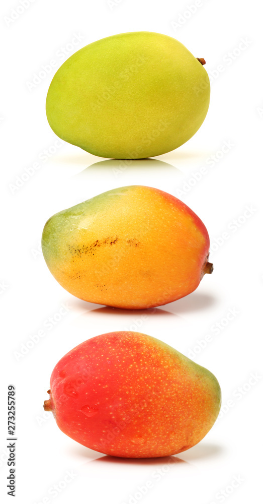 Mango slice cut to cubes close-up isolated on white background Mango slice cut to cubes close-up isolated on white background