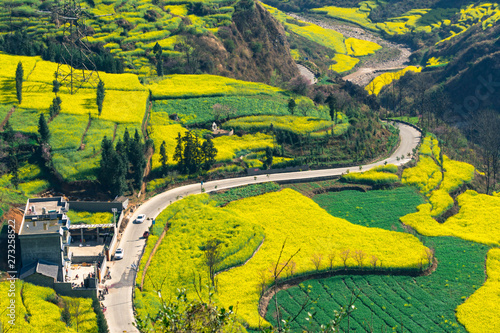 Rapeseed flowers at Snail farm Luositian Field in Luoping County, China photo