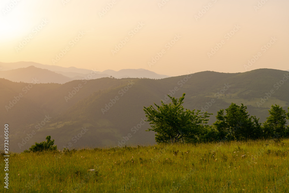 Obraz premium landscape nature summer