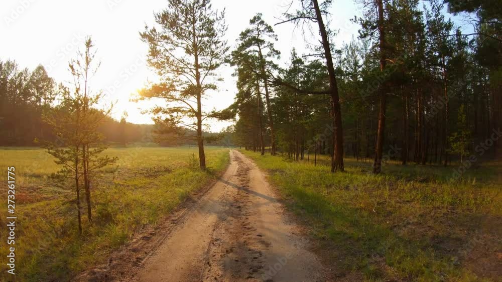 Moving forward on a country road between the forest and the field at sunset. POV. Gimbal shot Moving forward on a country road between the forest and the field at sunset. POV. Gimbal shot
