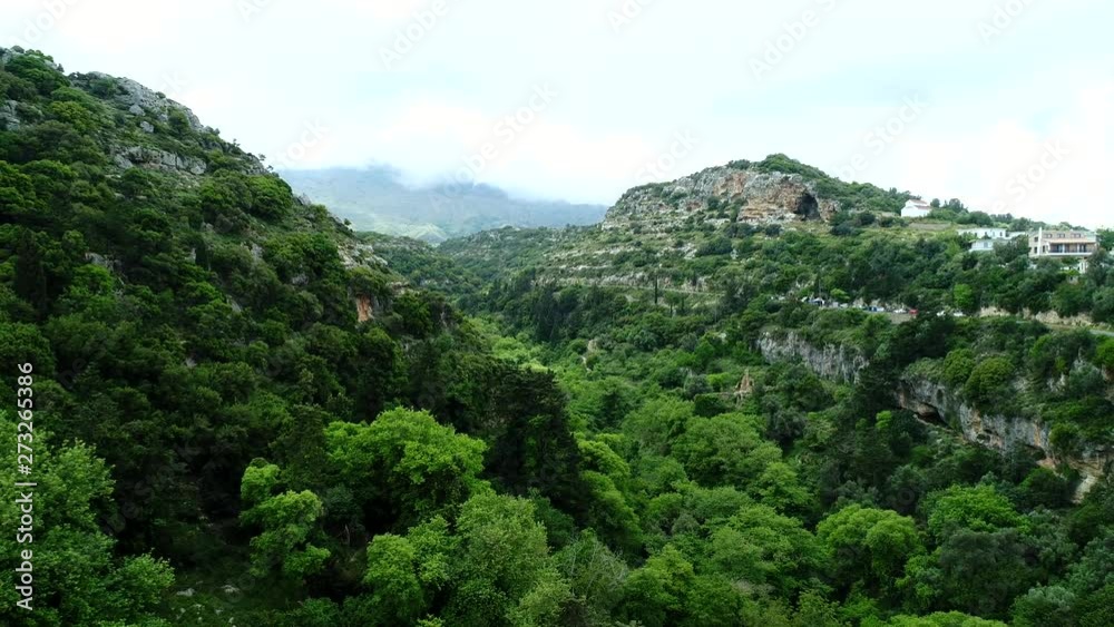 Green tropical forest, mountains, rocks, trees, aerial view. Green tropical forest, mountains, rocks, trees, aerial view.