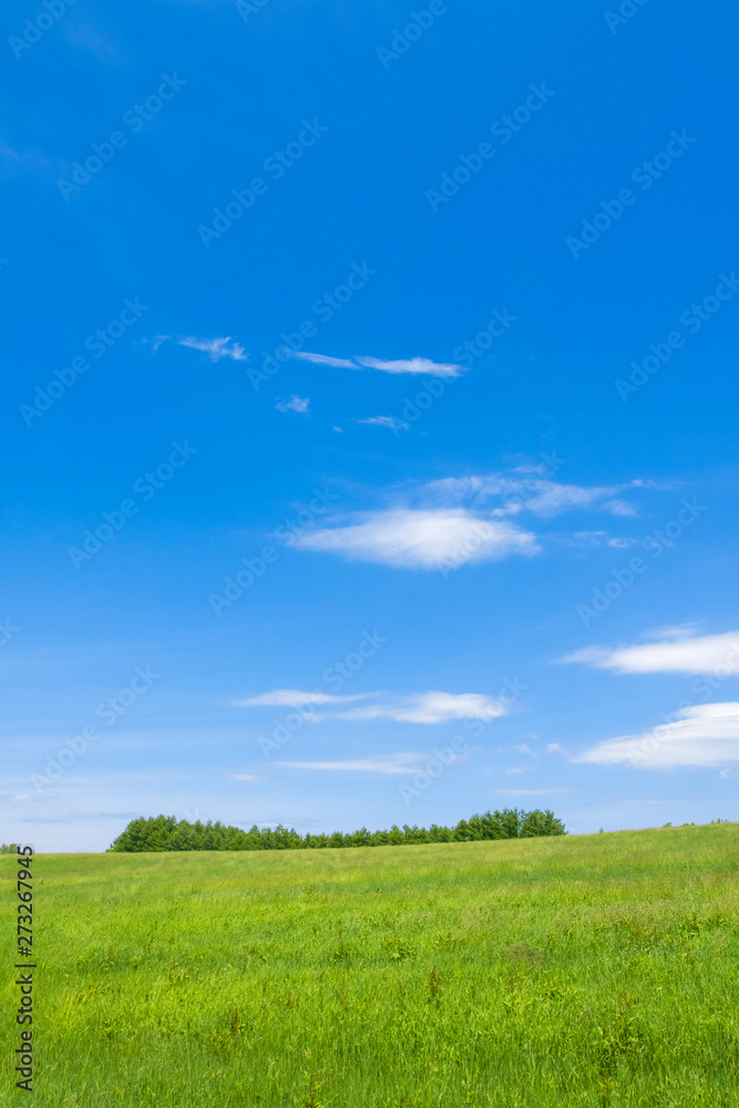 Obraz premium 草原と大地と青空 シンプル背景 日本の北海道