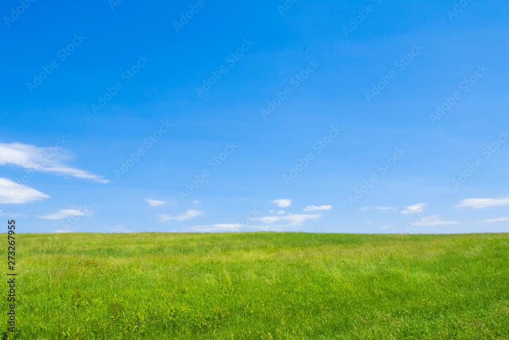 草原と大地と青空シンプル背景日本の北海道stock Photo Adobe Stock
